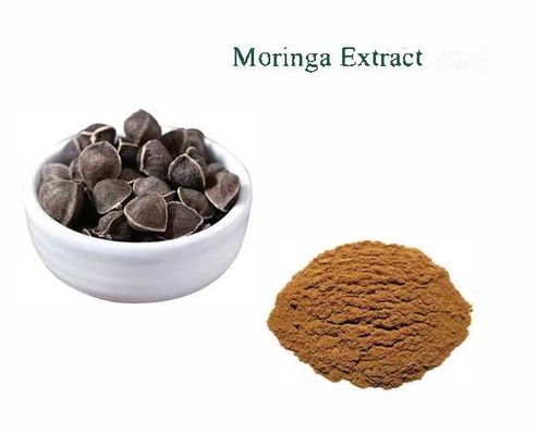 Natürlicher Pflanzen-Moringa-Extrakt 10/1 CAS NO 93165-54-9 Moringa Oleifera Pulver