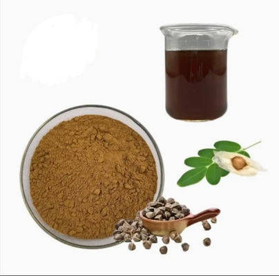 Natürlicher Pflanzen-Moringa-Extrakt 10/1 CAS NO 93165-54-9 Moringa Oleifera Pulver