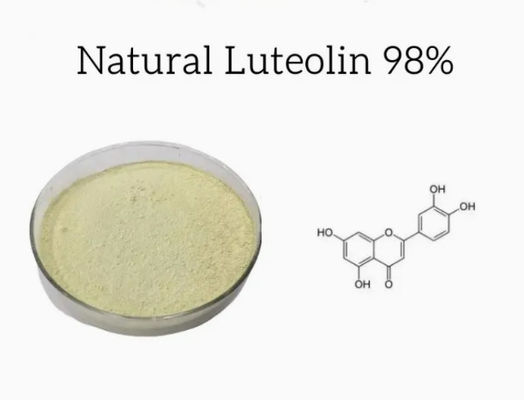 Natürlicher Pflanzenextrakt Luteolin 98% CAS NO 491-70-3 HPLC Anti-Viruspulver Luteolin