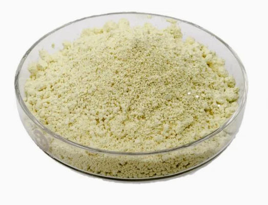 Natürlicher Pflanzenextrakt Luteolin 98% CAS NO 491-70-3 HPLC Anti-Viruspulver Luteolin
