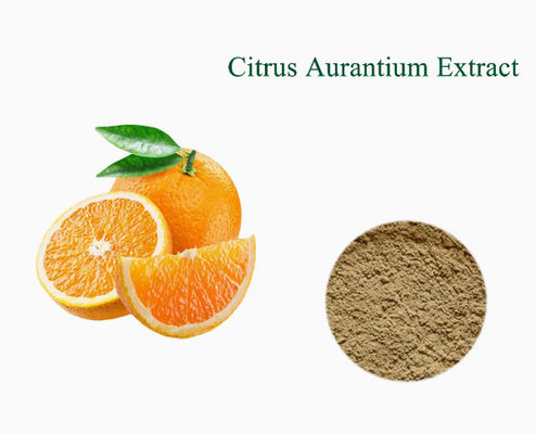 Synephrin Citrus Aurantium Extrakt Bitterorangenextrakt CAS-Nr. 13241-33-3 Schalenpulver