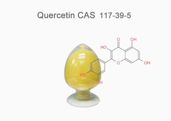 Pflanzenextrakt pharmazeutische Qualität Quercetin anhydrisch CAS NO 117-39-5 Gelbpulver