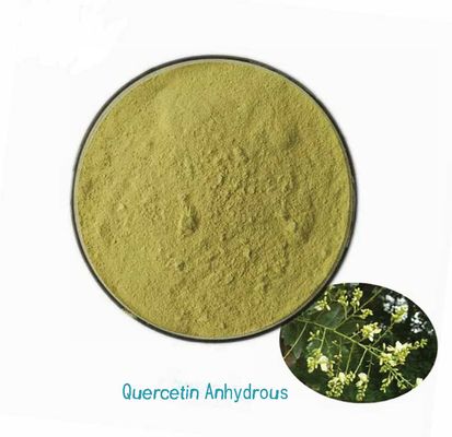Pflanzenextrakt pharmazeutische Qualität Quercetin anhydrisch CAS NO 117-39-5 Gelbpulver