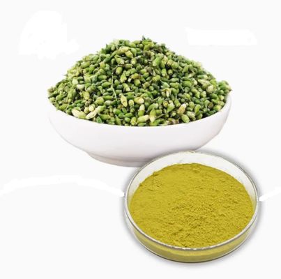 Pflanzenextrakt pharmazeutische Qualität Quercetin anhydrisch CAS NO 117-39-5 Gelbpulver